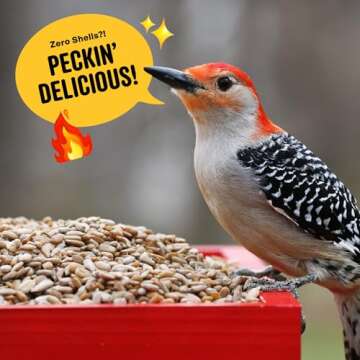 COOL BIRDS Hearts on Fire Hot Bird Seed – Squirrel-Proof Seed