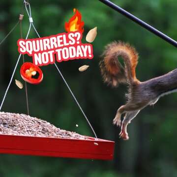 COOL BIRDS Hearts on Fire Hot Bird Seed – Squirrel-Proof Seed