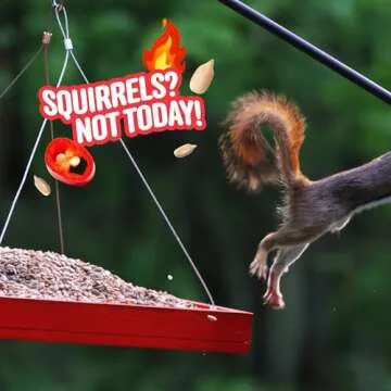 COOL BIRDS Hearts on Fire Hot Bird Seed – Squirrel-Proof Seed
