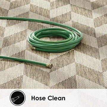 Nicole Miller Calla Indoor/Outdoor Rug, Stylish & Durable