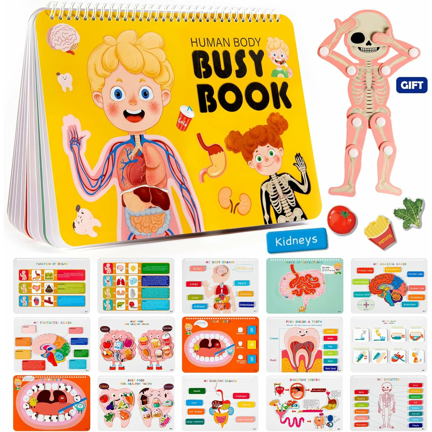 Freebear Montessori Busy Book for Learning Fun