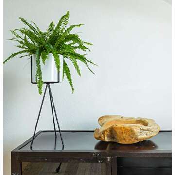 Modern White Enamel Planter with Metal Plant Stand, 7 Inch Large Pot with Black Mid Century Stands, ...