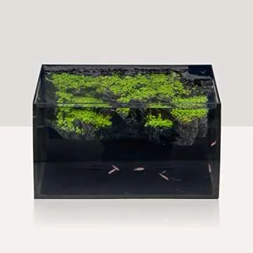 Hygger Horizon 8 Gallon Aquarium Kit for Beginners