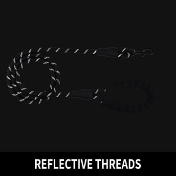 Panykoo Durable Dog Leash with Soft Padded Handle and Reflective Design