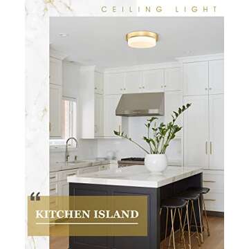 Audickic Gold Flush Mount Light 5CCT Dimmable LED Lamp