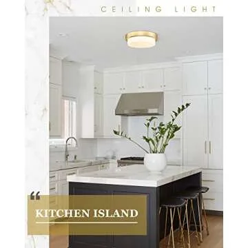 Audickic Gold Flush Mount Light 5CCT Dimmable LED Lamp