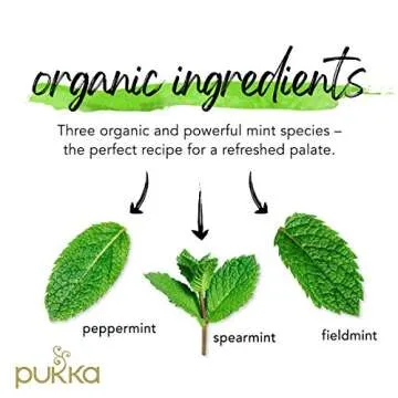 Pukka Three Mint Herbal Tea Bags, 60 Count Refreshing Treat