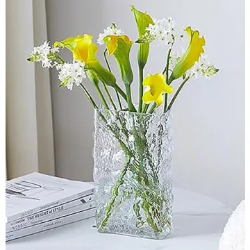 Elegant Amastesay Glass Vase for Home Décor and Gifts