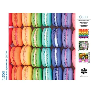 Buffalo Games Macaron Spectrum Puzzle - 300 Pieces for Adults