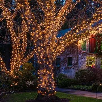 Warm White Christmas Mini Clear String Lights Set 21ft