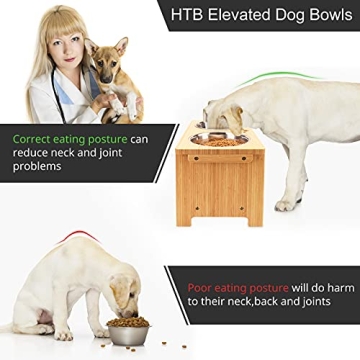 HTB Elevated Dog Bowls for Senior and Large Dogs