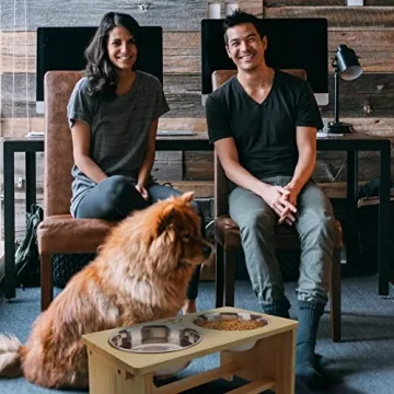 HTB Elevated Dog Bowls for Senior and Large Dogs