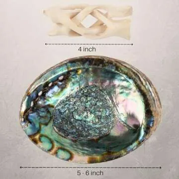 Wish Well Sage Smudge Kit - 3 White Sage Sticks, 2 Palo Santo Sticks, Abalone Shell, Stand, Smudging Feather, 7 Chakra Stones & Crystal Bracelet ~ Sage Incense Sticks for Cleansing House & Meditation