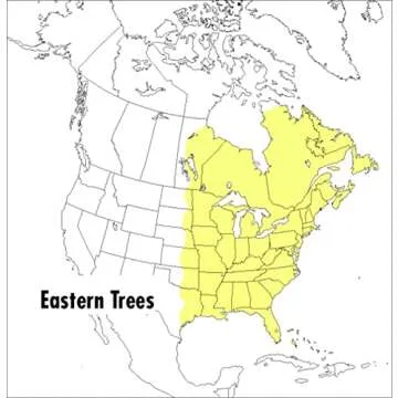 Peterson Field Guide to Eastern Trees - Essential Guide for Nature Enthusiasts