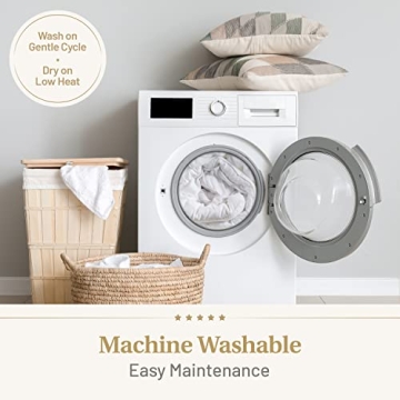 Luxurious Down Alternative Comforter for All Seasons