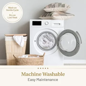 Luxurious Down Alternative Comforter for All Seasons