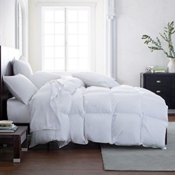 Luxurious Down Alternative Comforter for All Seasons