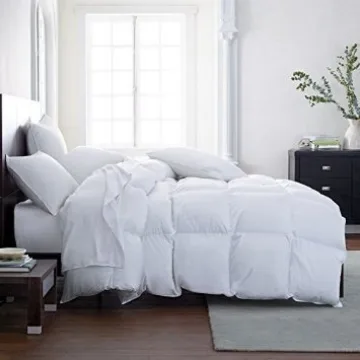 Luxurious Down Alternative Comforter for All Seasons