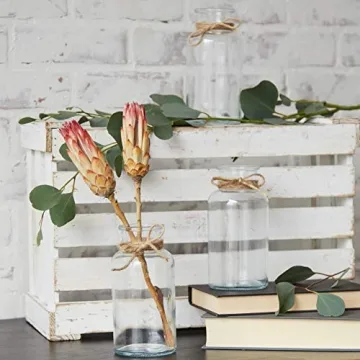 Antique Glass Bottles Set for Unique Home Decor