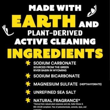 Molly's Suds Eco-Friendly Laundry Detergent Powder 240 Loads