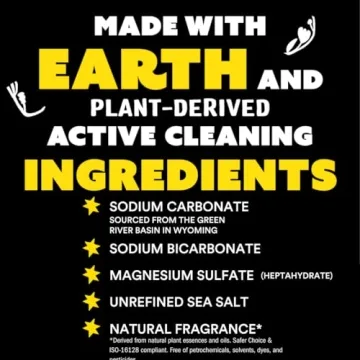 Molly's Suds Eco-Friendly Laundry Detergent Powder 240 Loads