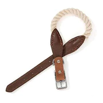Mile High Life Rope Dog Collar | Durable Braided Cotton