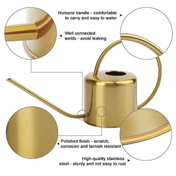 Remiawy Elegant Stainless Steel Watering Can for All Plants