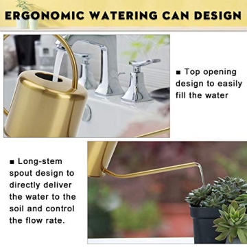 Remiawy Elegant Stainless Steel Watering Can for All Plants