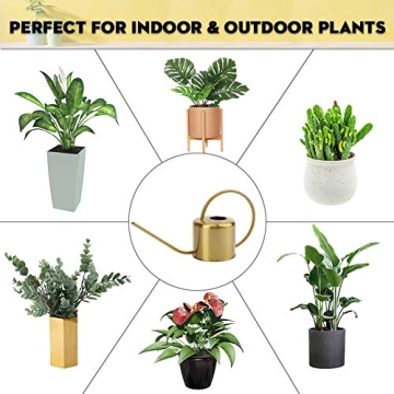 Remiawy Elegant Stainless Steel Watering Can for All Plants