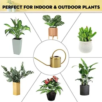 Remiawy Elegant Stainless Steel Watering Can for All Plants