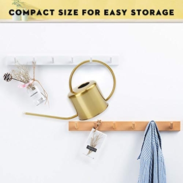 Remiawy Elegant Stainless Steel Watering Can for All Plants