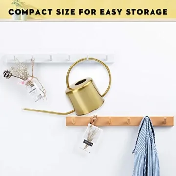 Remiawy Elegant Stainless Steel Watering Can for All Plants