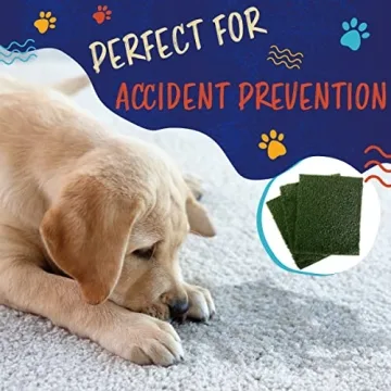 Pee Pads for Dogs - Set of 3 Washable Indoor Potty Training Mats