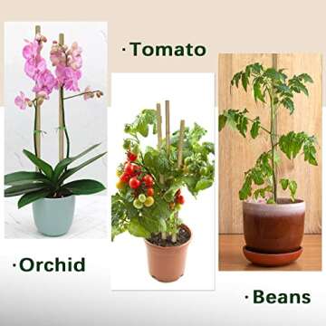 BOVITRO 20Pcs Plant Stakes – Durable Bamboo Support