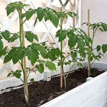 BOVITRO 20Pcs Plant Stakes – Durable Bamboo Support