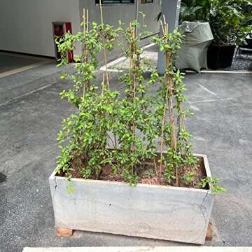 BOVITRO 20Pcs Plant Stakes – Durable Bamboo Support