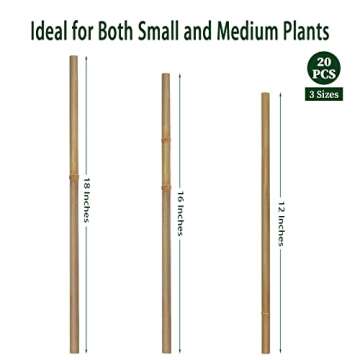 BOVITRO 20Pcs Plant Stakes – Durable Bamboo Support