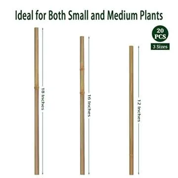 BOVITRO 20Pcs Plant Stakes – Durable Bamboo Support