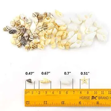 Yexpress 186 pcs Mini Tiny Sea Shells Mixed Ocean Beach Seashells, Natural Starfish for Home Decorat...