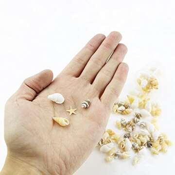 Yexpress 186 pcs Mini Tiny Sea Shells Mixed Ocean Beach Seashells, Natural Starfish for Home Decorations, Beach Theme Party, Candle Making, Wedding Decor, DIY Crafts, Fish Tank and Vase Filler