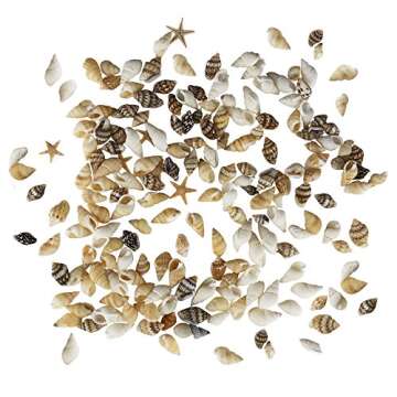Yexpress 186 pcs Mini Tiny Sea Shells Mixed Ocean Beach Seashells, Natural Starfish for Home Decorations, Beach Theme Party, Candle Making, Wedding Decor, DIY Crafts, Fish Tank and Vase Filler