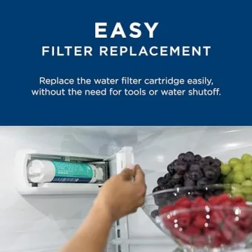 GE RPWFE Refrigerator Water Filter - Clean Water Guaranteed
