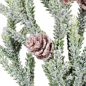 Frosted Cypress Pine Stems for Christmas Decor