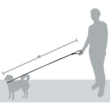 Friends Forever Extremely Durable Dog Rope Leash, Premium Quality Training Slip Lead, Reflective, Thick Heavy Duty, Sturdy, No Pull, Comfortable For The Strong Large Medium Small Pets 6 feet, Green