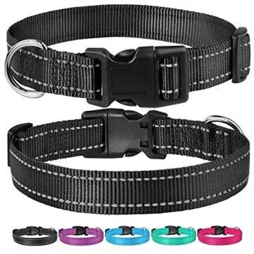 Reflective Dog Collar with Buckle Adjustable Safety Nylon Collars for Small Medium Large Dogs, Black M