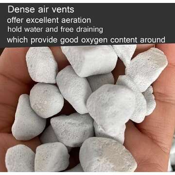 25QT Organic Perlite for Plants and Enhanced Drainage