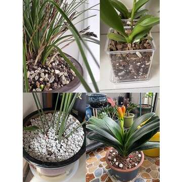 25QT Organic Perlite for Plants and Enhanced Drainage