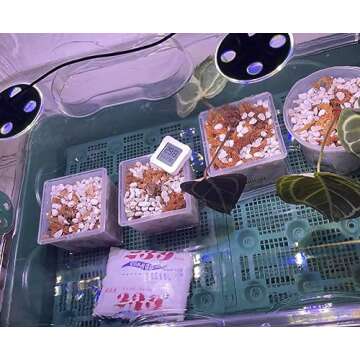 25QT Organic Perlite for Plants and Enhanced Drainage