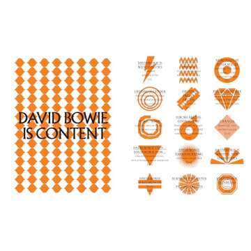 David Bowie Is (Museum of Contemporary Art, Chicago: Exhibition Catalogues)