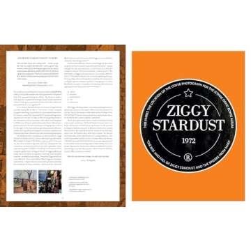 David Bowie Is (Museum of Contemporary Art, Chicago: Exhibition Catalogues)